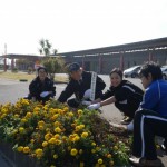 ボランティアの会花壇整備・花植え活動