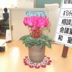 パンの花